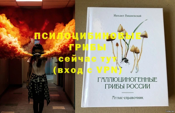 сатива Краснослободск