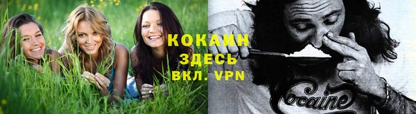 мет Кукмор